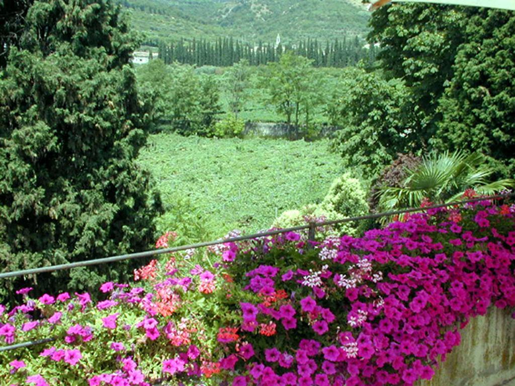 B&B Villa Monteleone Sant'Ambrogio di Valpolicella Exterior photo